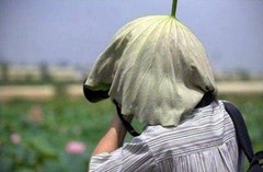 ��������һ����Ӱʦ���㶮����Ӱ��ʲô