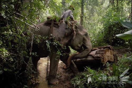 ���˶�������������ӰҪ���ж�������˵