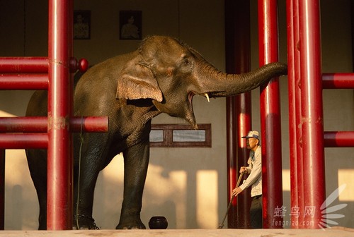 ���˶�������������ӰҪ���ж�������˵