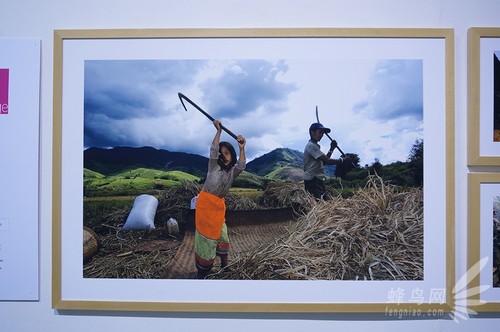 Ѱ�ҹ����· ����������Ӱʦչ��Ⱥ��