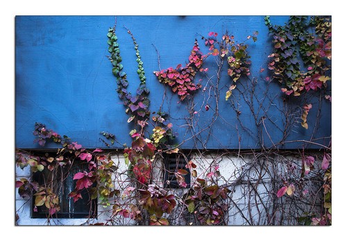 ����ѧ�ߵĵ�ʮ���� ��Ӱ�ļ�¼�ͱ���