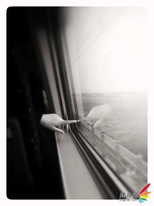 ����ѧ�ߵĵ������