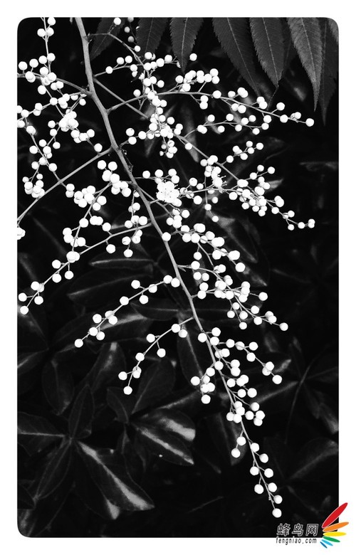 ����ѧ�ߵĵ������