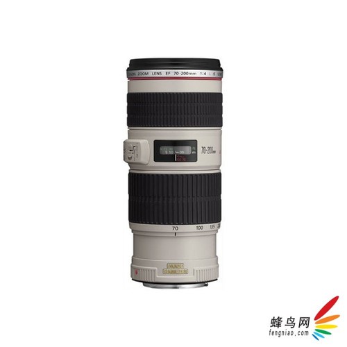 �����ٷ����� ϸ�������ͽ����ܺ�Ȧ��ͷ