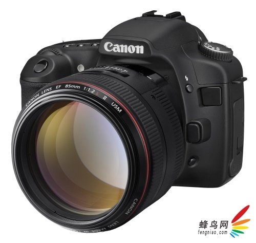 �����ٷ����� ϸ�������ͽ����ܺ�Ȧ��ͷ