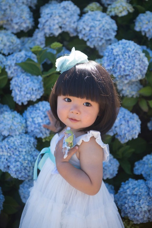 Ƿ����Ƭ�ĵ����Լ�����Ƥ��ʾ��