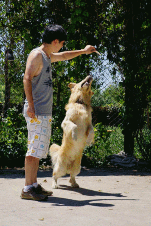 ����΢����ʤ���� A6000ץ�����߶���