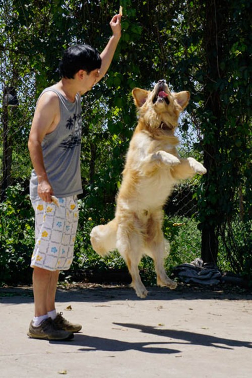 ����΢����ʤ���� A6000ץ�����߶���