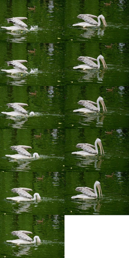 ����΢����ʤ���� A6000ץ�����߶���