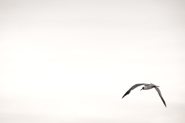 ����������Ӱ��������ɵ�