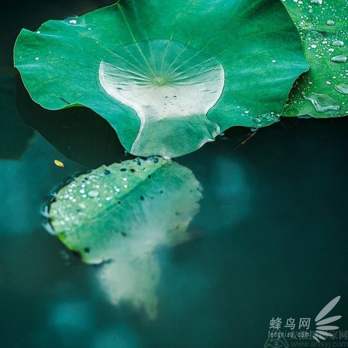 ����ʲô��ͷ�ʺ���ʲô