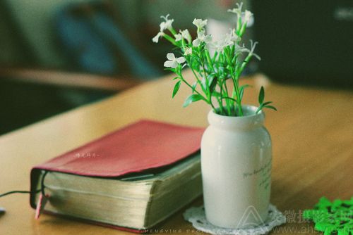 �ù������ ��ѧ�߱����˽�Ĺ�Ȧ����