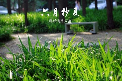 �ù������ ��ѧ�߱����˽�Ĺ�Ȧ����