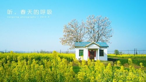 �ù������ ��ѧ�߱����˽�Ĺ�Ȧ����