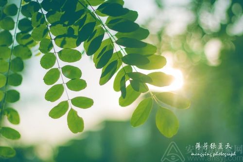 �ù������ ��ѧ�߱����˽�Ĺ�Ȧ����