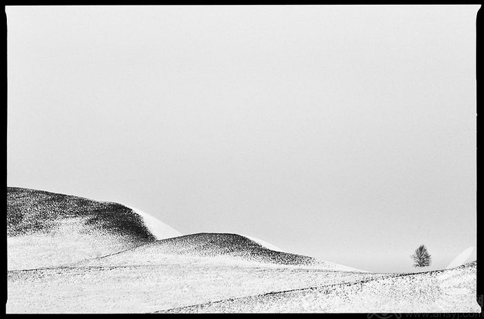 ���籾��ɫ �����ڰ׷����Ӱ����