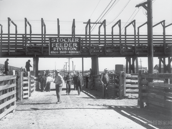 �ۿ����۾� ��Ӱʦ�ض�������