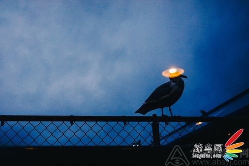 ����������Ӱʦ��˽�������Ӱ������ĵ�