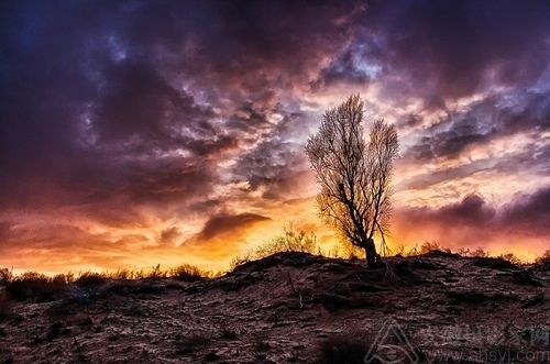 3��ʱ��ɴ�ţ 90����ҵ��Ӱʦ�ĳɳ�֮·