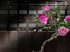 2013�� �����조��ɫĵ��;����ͭ�ꡱ��Ӱ��������Ʒ�����㽱��