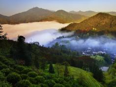 2013.8.13 �׽�ȫʡ���°�Դͷ.����Ϫ�ڡ���Ӱ��������Ʒ�����Ƚ���